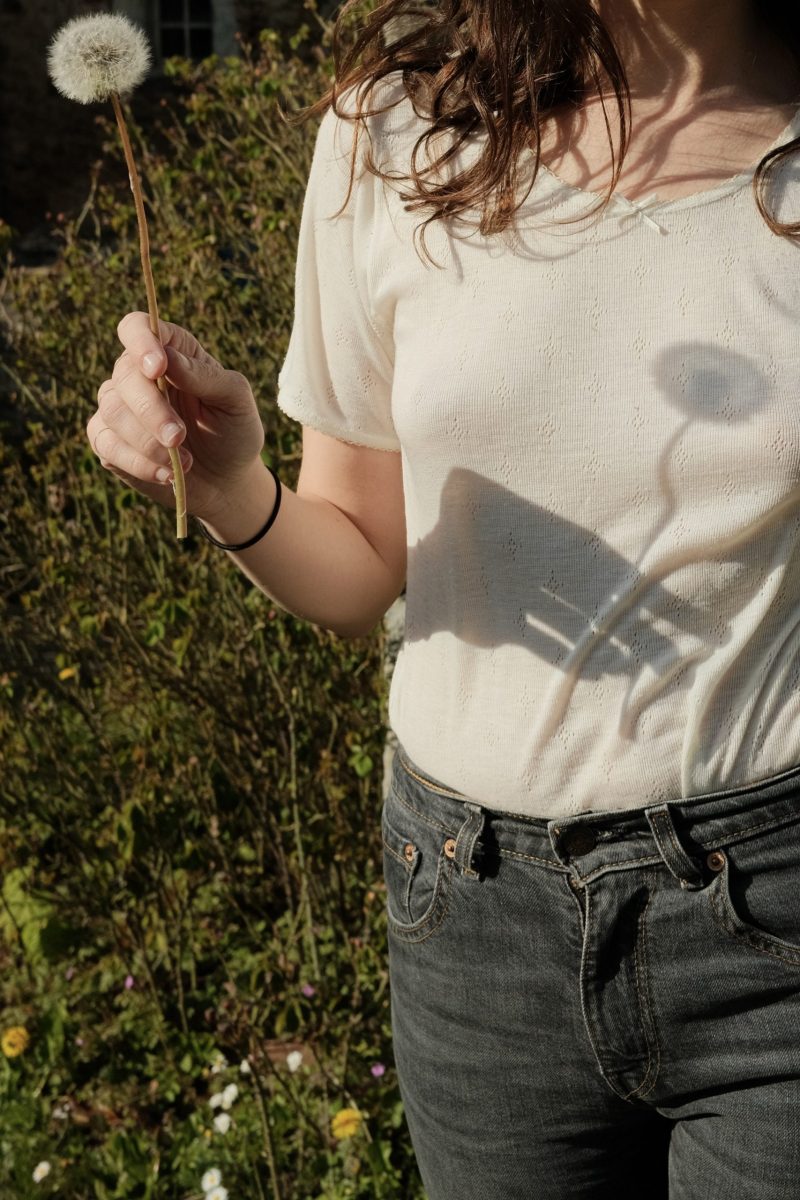 TOP NAÏVE – Image 2
